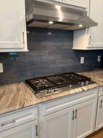 18498 COASTAL SHORE TERRACE, Land O Lakes, FL 34638