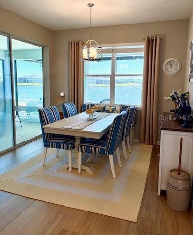 18498 COASTAL SHORE TERRACE, Land O Lakes, FL 34638