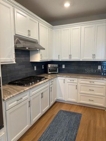 18498 COASTAL SHORE TERRACE, Land O Lakes, FL 34638