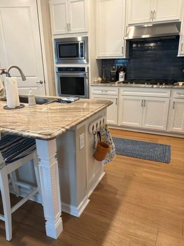 18498 COASTAL SHORE TERRACE, Land O Lakes, FL 34638