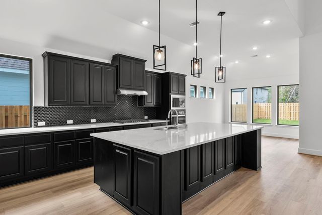 41738 Wendele Way, Todd Mission, TX 77316