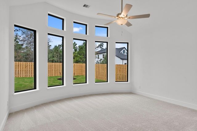41738 Wendele Way, Todd Mission, TX 77316