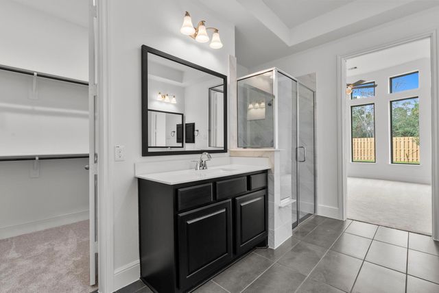 41738 Wendele Way, Todd Mission, TX 77316