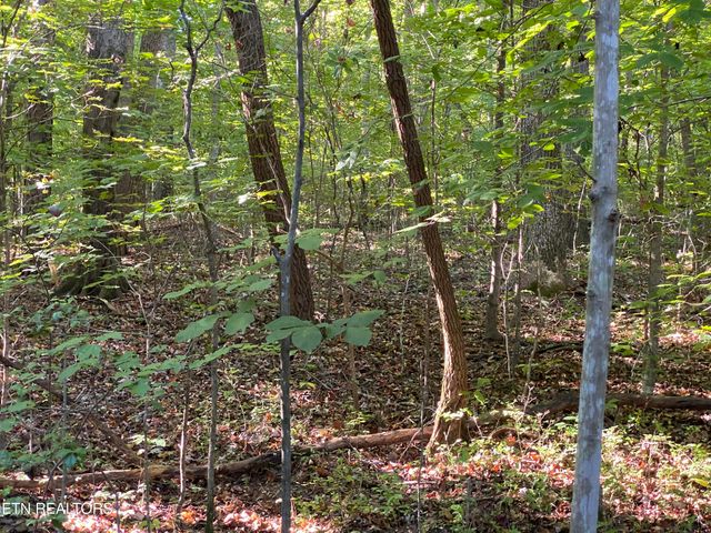 0 Conner Rd, Powell, TN 37849
