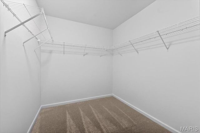 10 Wild Ridge Manor Court, Florissant, MO 63033