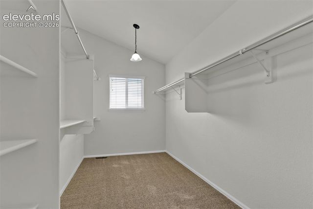 705 Witchhazel Court, Colorado Springs, CO 80921