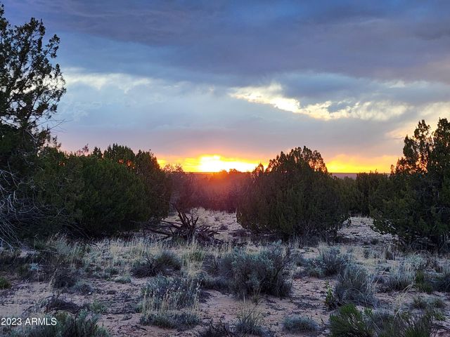 000 N TBD Drive 180-A, St Johns, AZ 85936