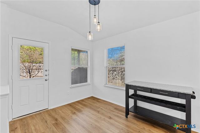 1310 Grande Mesa Drive, Georgetown, TX 78626