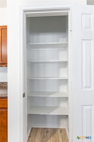 1310 Grande Mesa Drive, Georgetown, TX 78626