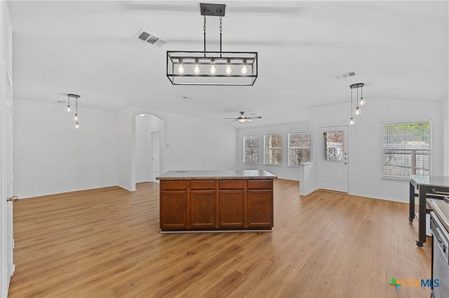 1310 Grande Mesa Drive, Georgetown, TX 78626