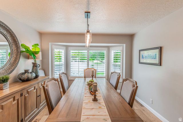 11563 S OLIVE BERRY LN, Draper, UT 84020