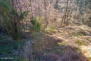 636 Stockton Drive, Sevierville, TN 37876