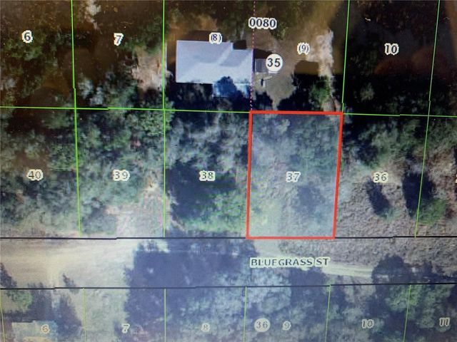 2408 BLUEGRASS STREET, Inverness, FL 34453