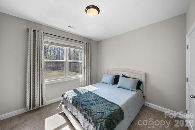 628 Baneberry Bluff Court, Rock Hill, SC 29732