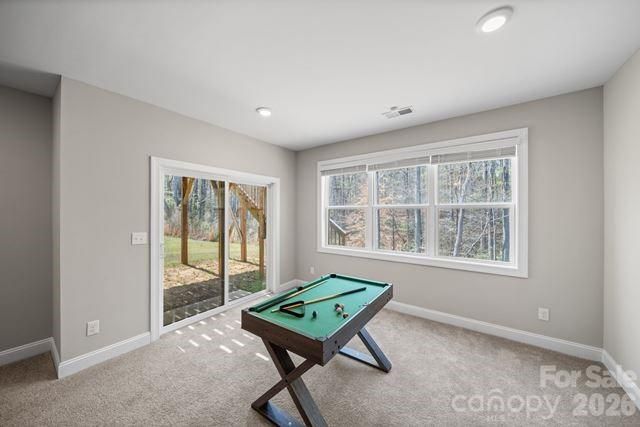 628 Baneberry Bluff Court, Rock Hill, SC 29732