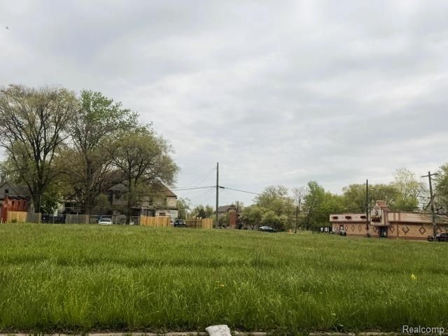 1514 Casgrain Street, Detroit, MI 48209