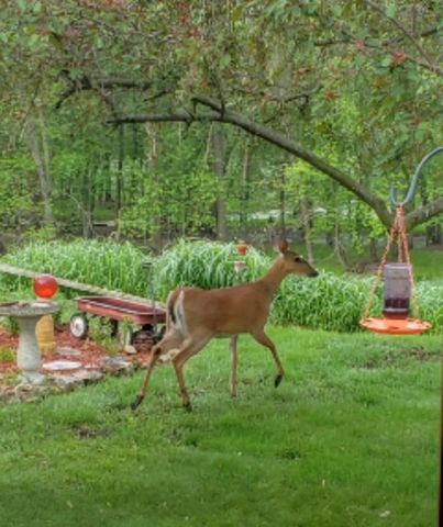 2956 Marion ROAD S, La Crosse, WI 54601