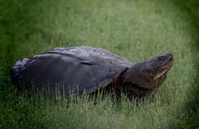 2956 Marion ROAD S, La Crosse, WI 54601