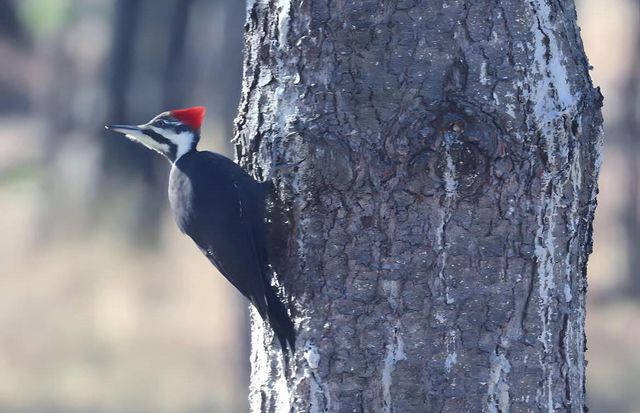 2956 Marion ROAD S, La Crosse, WI 54601