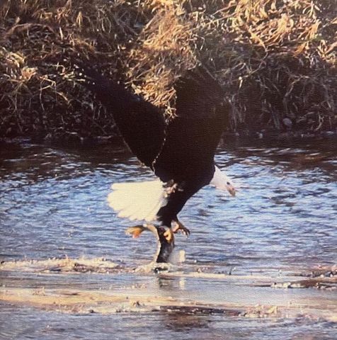 2956 Marion ROAD S, La Crosse, WI 54601