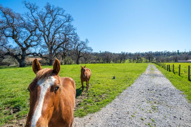 11875 Oak Run Road, Oak Run, CA 96069