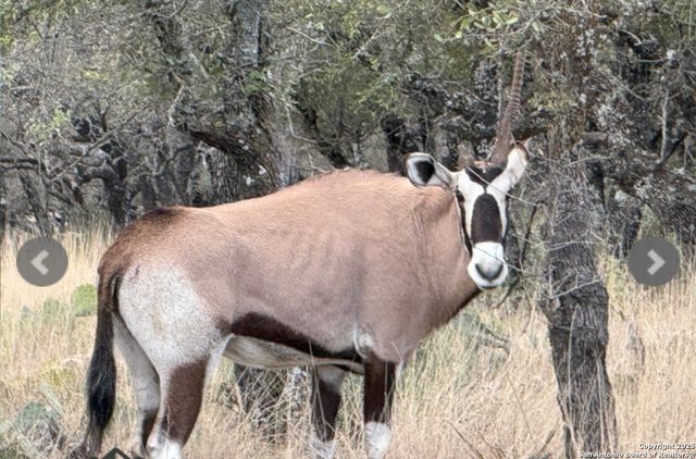 14410 us highway 190, Fort Mckavett, TX 76841