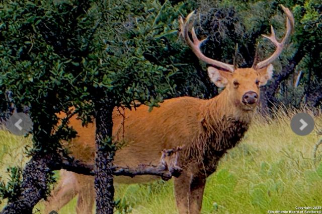 14410 us highway 190, Fort Mckavett, TX 76841