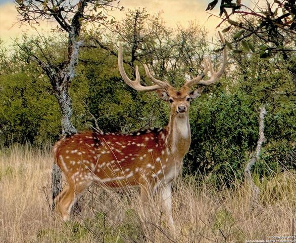 14410 us highway 190, Fort Mckavett, TX 76841