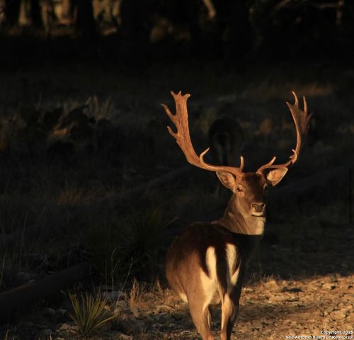 14410 us highway 190, Fort Mckavett, TX 76841