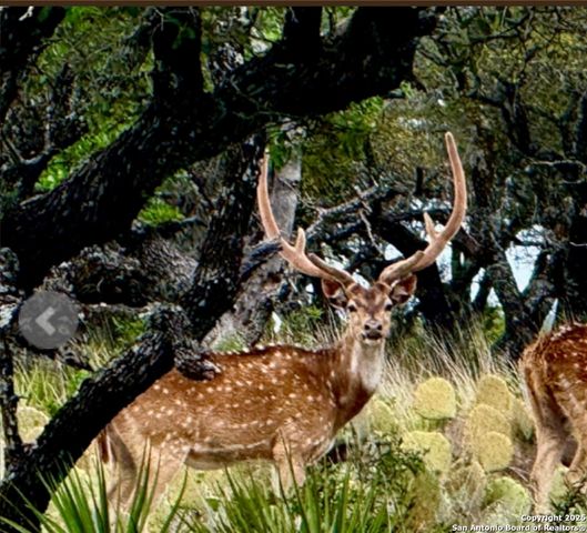 14410 us highway 190, Fort Mckavett, TX 76841