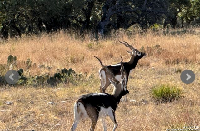 14410 us highway 190, Fort Mckavett, TX 76841