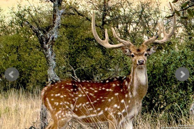 14410 us highway 190, Fort Mckavett, TX 76841