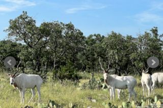 14410 us highway 190, Fort Mckavett, TX 76841