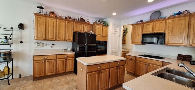 12255 Wildflower Lane, Huntley, IL 60142