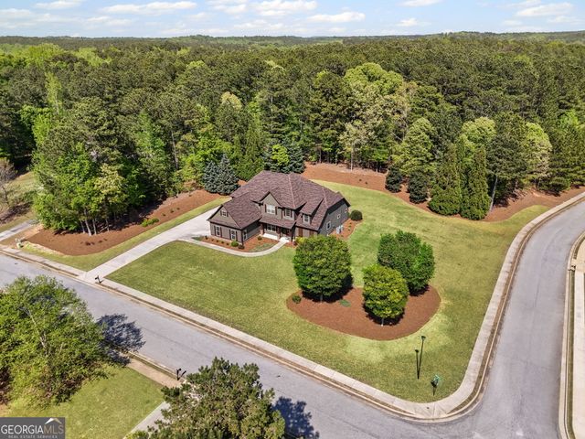 189 Willowleaf Way, Sharpsburg, GA 30277