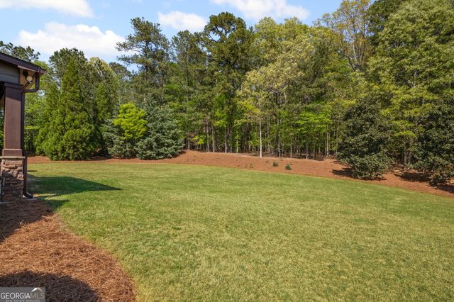 189 Willowleaf Way, Sharpsburg, GA 30277