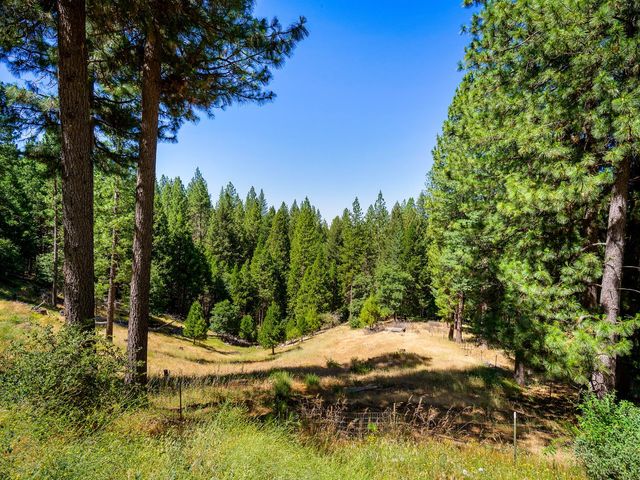 1423 Argonaut Ln, West Point, CA 95255