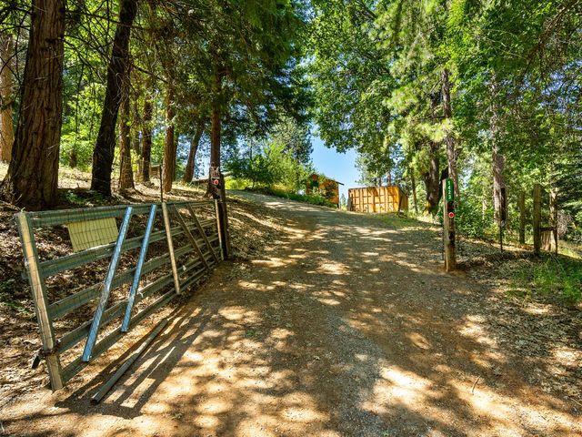 1423 Argonaut Ln, West Point, CA 95255