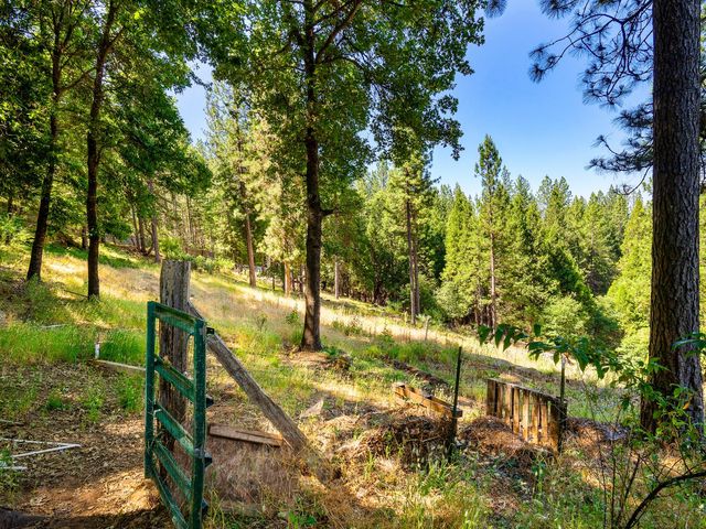 1423 Argonaut Ln, West Point, CA 95255