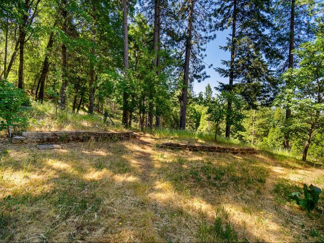 1423 Argonaut Ln, West Point, CA 95255