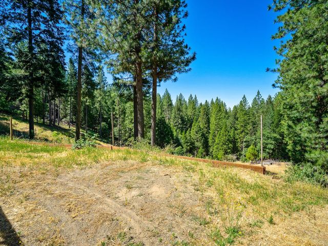 1423 Argonaut Ln, West Point, CA 95255