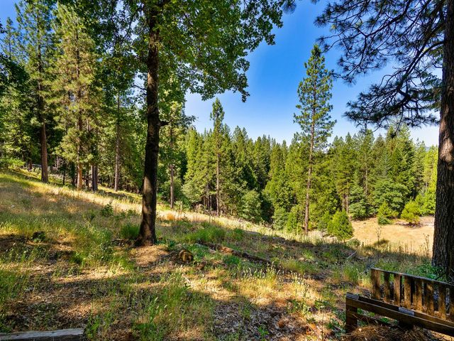 1423 Argonaut Ln, West Point, CA 95255