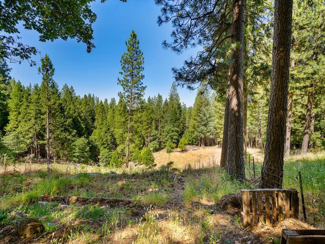 1423 Argonaut Ln, West Point, CA 95255