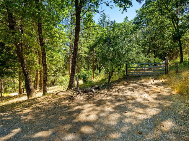 1423 Argonaut Ln, West Point, CA 95255