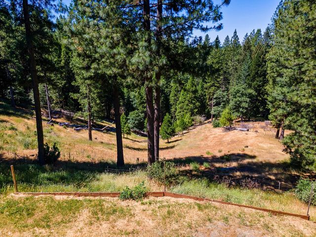 1423 Argonaut Ln, West Point, CA 95255