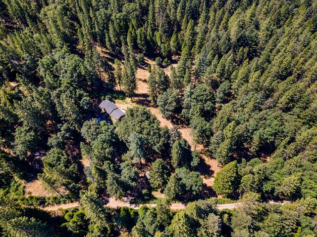 1423 Argonaut Ln, West Point, CA 95255