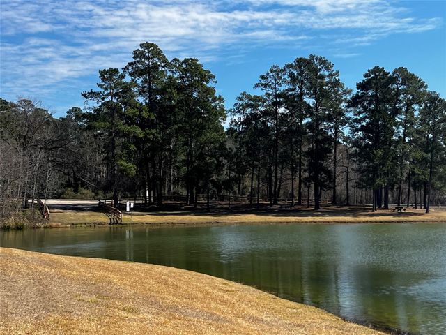 2340 La Salle Woods, Conroe, TX 77304