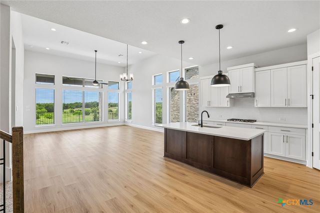 276 Prickly Poppy Loop, Kyle, TX 78640