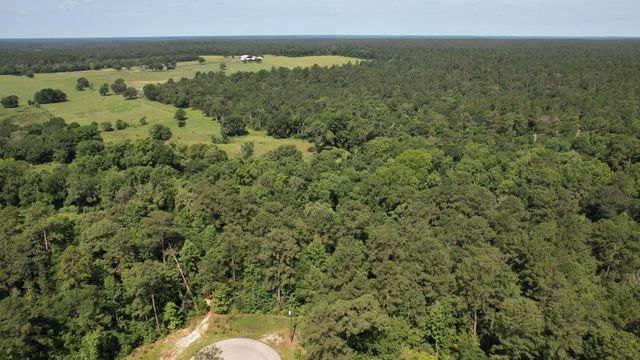 207 Sandpiper Drive, New Waverly, TX 77358