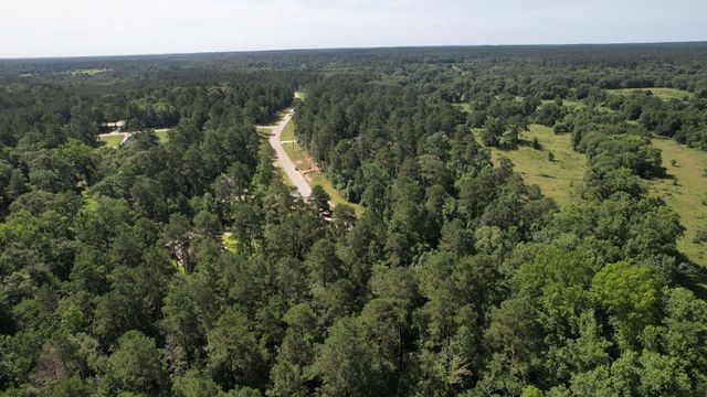 207 Sandpiper Drive, New Waverly, TX 77358